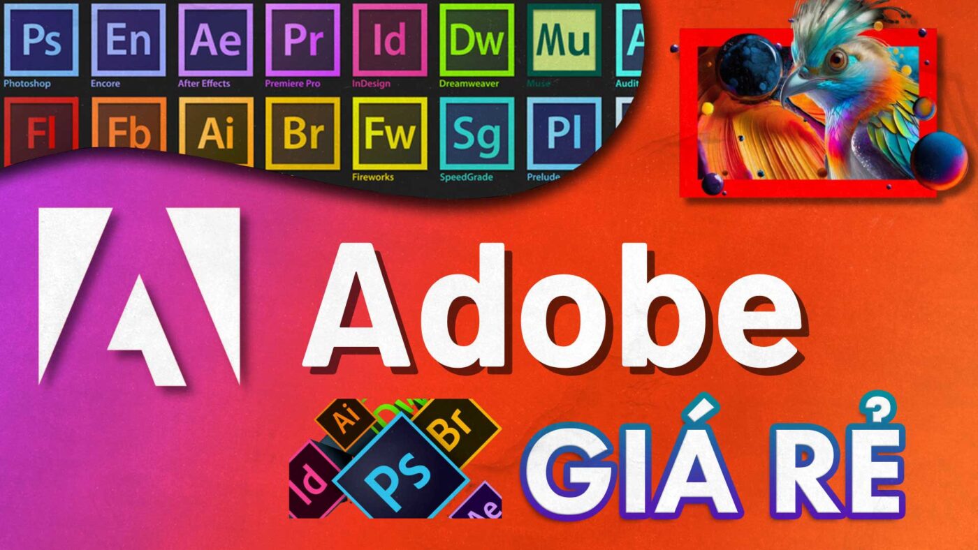 Adobe giá rẻ