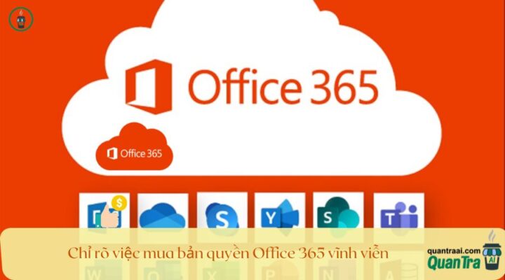 Chỉ rõ việc mua bản quyền Office 365 vĩnh viễn