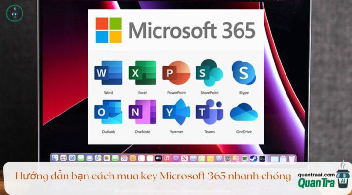 Hướng dẫn bạn cách mua key Microsoft 365 nhanh chóng