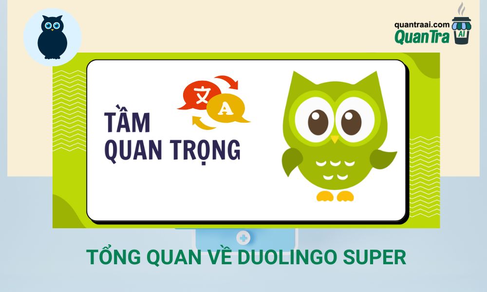 Tổng Quan Về tài khoản Duolingo Super