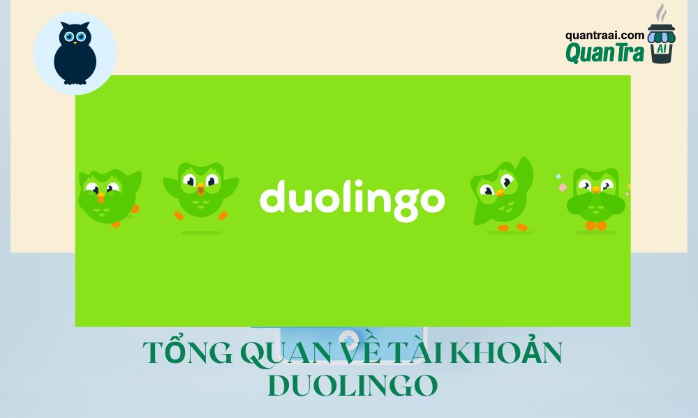 Tổng quan về tài khoản duolingo