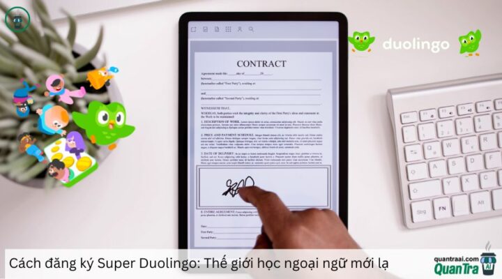 Cách đăng ký Super Duolingo: Thế giới học ngoại ngữ mới lạ