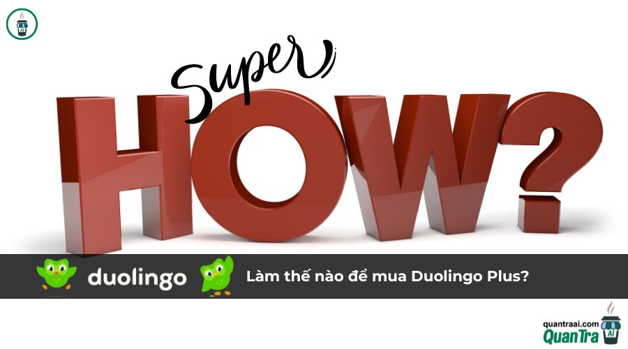 Làm thế nào để mua Duolingo Plus?