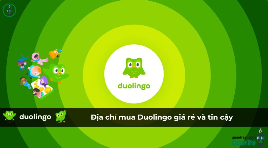 Địa chỉ mua Duolingo giá rẻ và tin cậy- Quán Trà AI