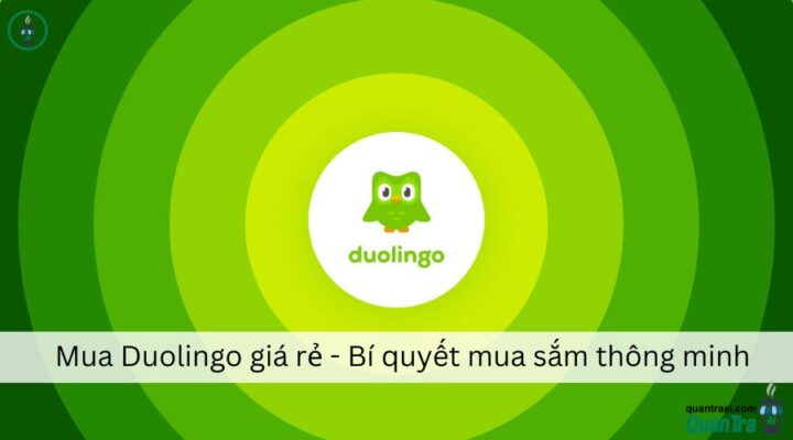 Mua Duolingo giá rẻ - Bí quyết mua sắm thông minh