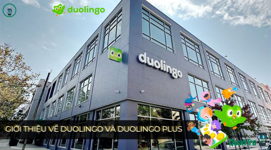 Giới thiệu về Mua Duolingo giá rẻ