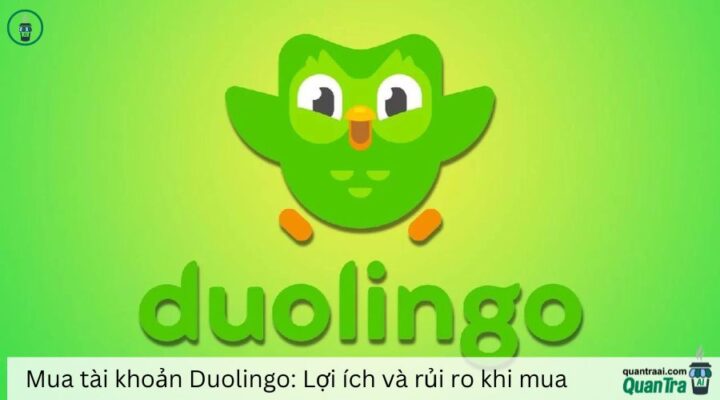 Mua tài khoản Duolingo: Lợi ích và rủi ro khi mua