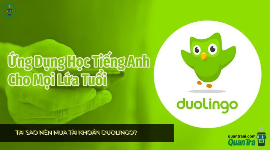 Tại Sao Nên Mua Tài Khoản Duolingo?