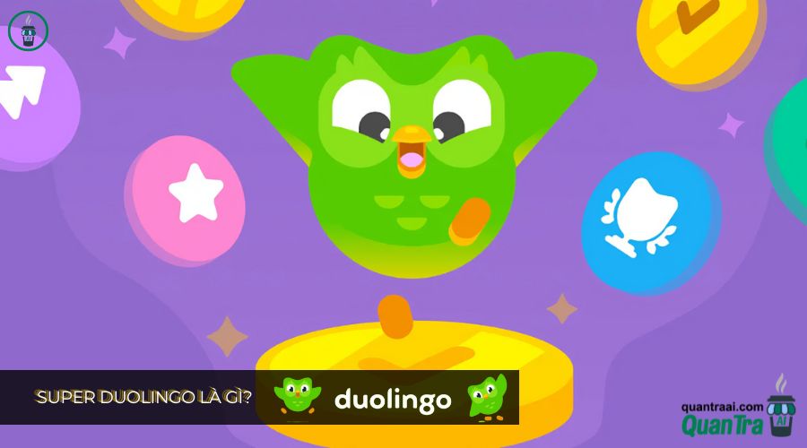 super duolingo giá bao nhiều là gì?