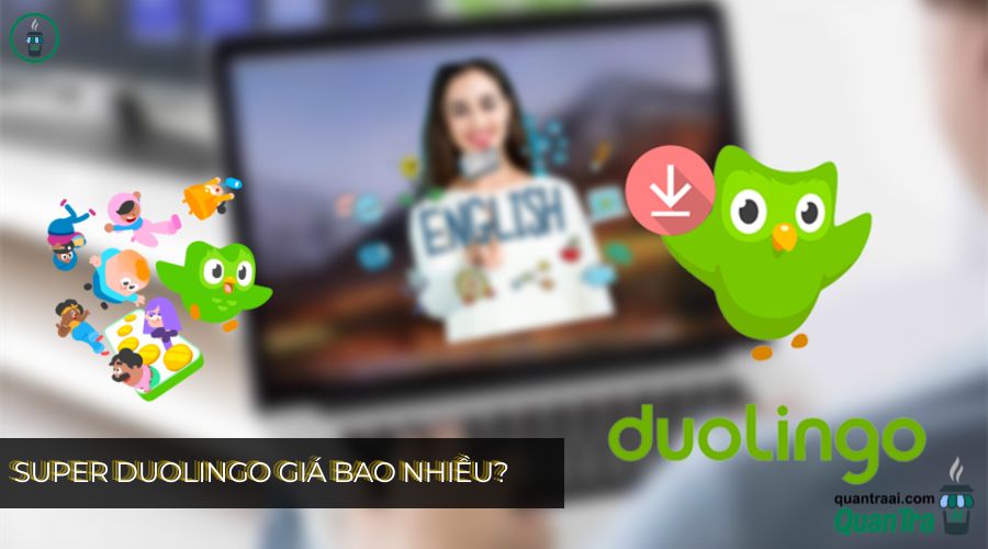 Super Duolingo Giá Bao Nhiều?